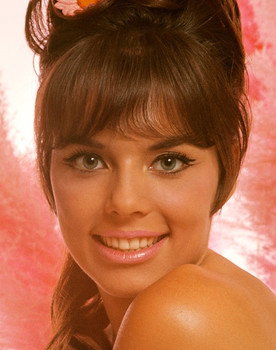 Jo Collins