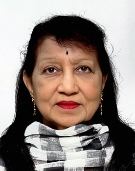 Sushama Shiromanee as Bhingari