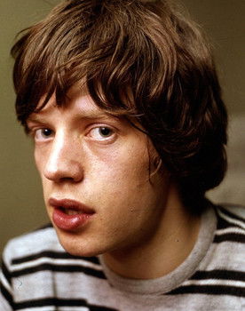 Mick Jagger as Self (voice)