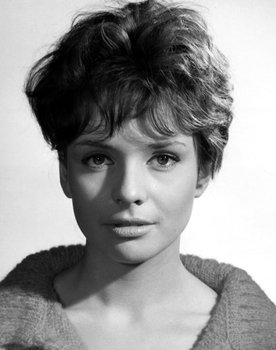 Barbara Frey