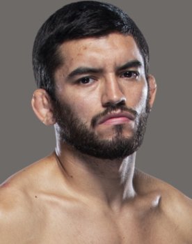 UFC 265: Lewis vs. Gane