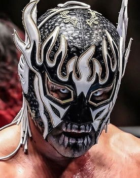 Kyosuke Mikami as El Desperado