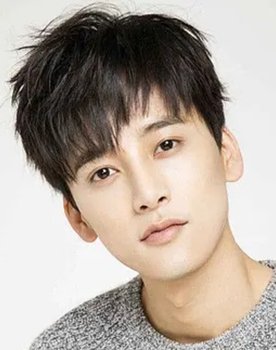 Feng Junxi