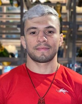 UFC 295: Prochazka vs. Pereira