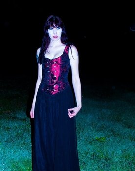 400 Ways to Kill a Vampire