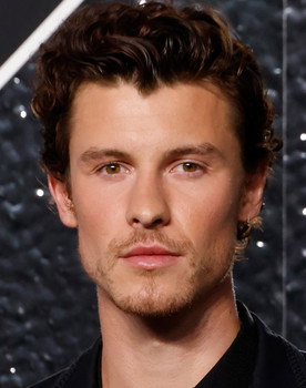Shawn Mendes: Artist Spotlight Stories