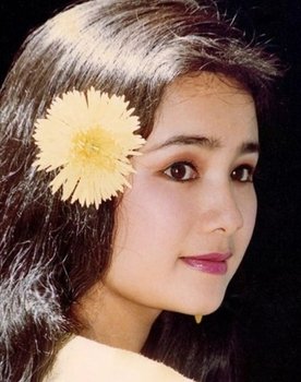 Thu Hà as Vân