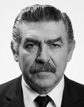 Renan Fosforoğlu as 