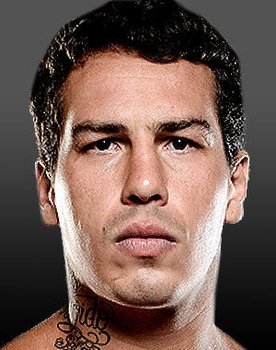 The Ultimate Fighter 19 Finale