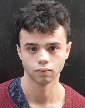 Ignacio Becerril as Hijo Establo