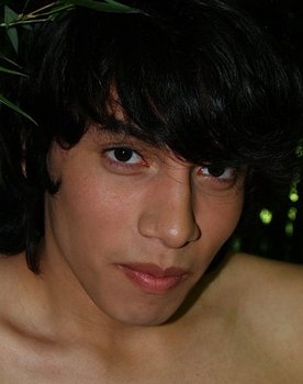 Anibal