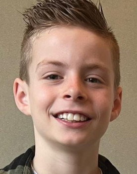 Link Van Gestel