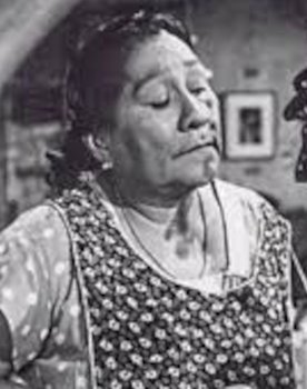 Leonor Gómez as Espectador lucha libre