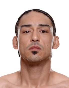 UFC 188: Velasquez vs. Werdum
