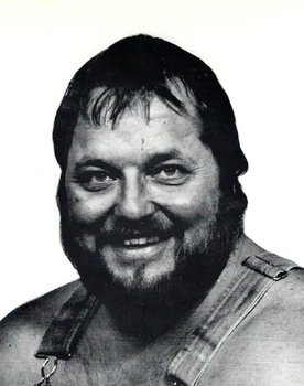 The Best of the WWF: volume 8
