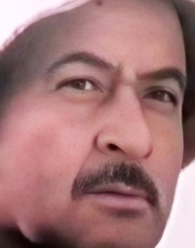 Sergey Pachkoriya as 