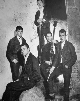 The Animals as The Animals