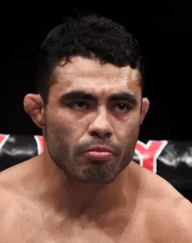 UFC on Fox 6: Johnson vs. Dodson