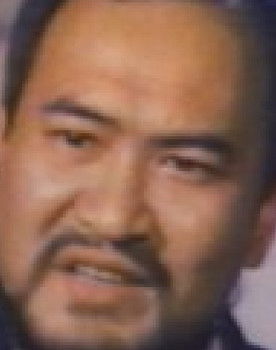 Woo Wai as Mighty Kim