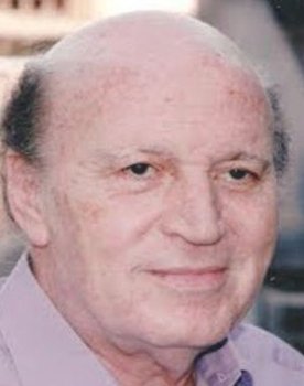 Hassan Abdel Hamid