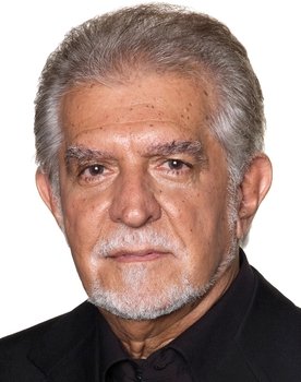 Domingos Meirelles