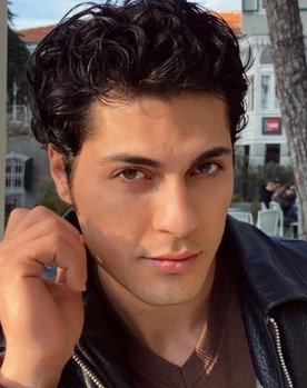 Virat Sefer as Malik Hamed