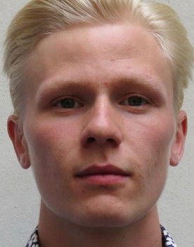 Leonid Roth as Nikita