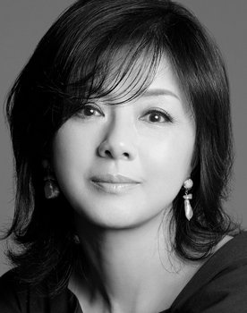 Hiroko Yakushimaru as 旁白