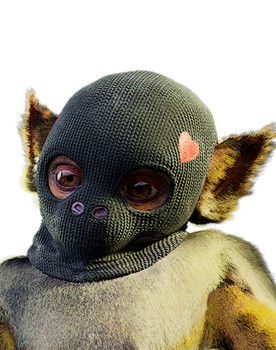 Max as le saïmiri 5