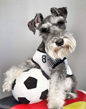Montgomery Von Schnauz