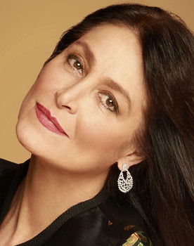 Daniela Romo as Mercedes Artigas