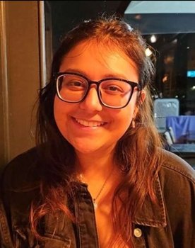 Karina Bhojwani as Person on TV