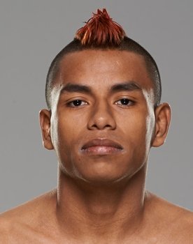 UFC 180: Werdum vs. Hunt