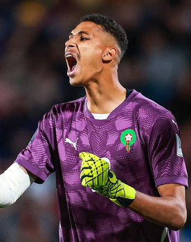 Ibrahim Gomis as Self