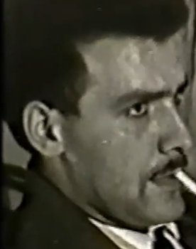 Alfonso Pallarés as 