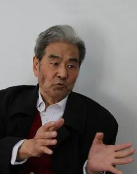 Wang Ying as 