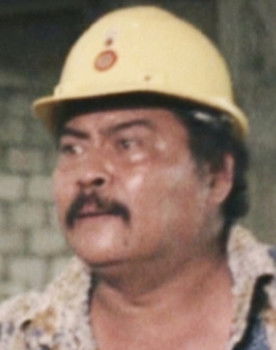 Pancho Pelagio as Mr. Balajadia