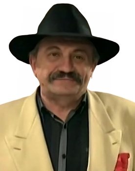 Dragomir 'Gidra' Bojanić as Stranger