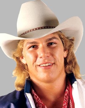 The Best of the WWF: volume 17