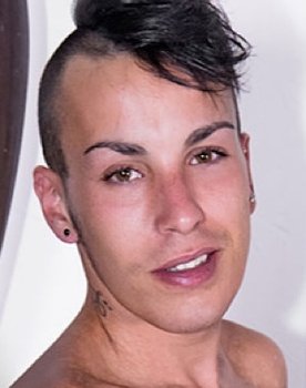 Looking for the New PornStar