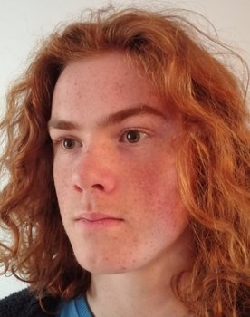Noah Cambridge as Raphael