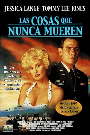 Póster de la película Las cosas que nunca mueren