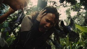 The Hunger Games: Catching Fire