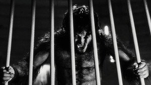 Werewolf by Night