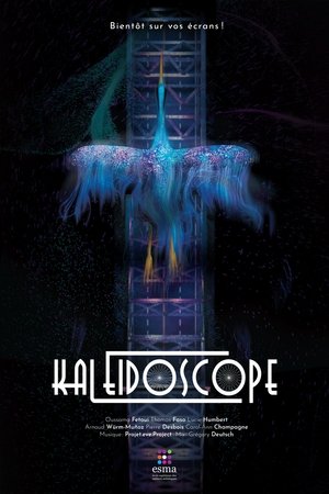 Póster de la película Kaléidoscope