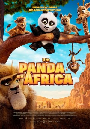 Panda Bear in Africa