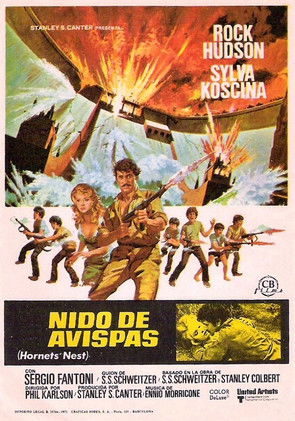 Póster de la película Nido de avispas