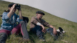 The Shepherd and the Bear
