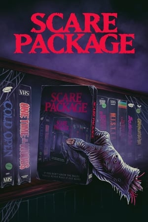 Póster de la película Scare Package