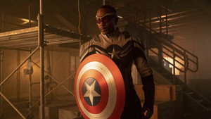 The Falcon and the Winter Soldier